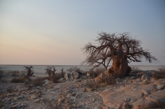 Kubu island, Botswana